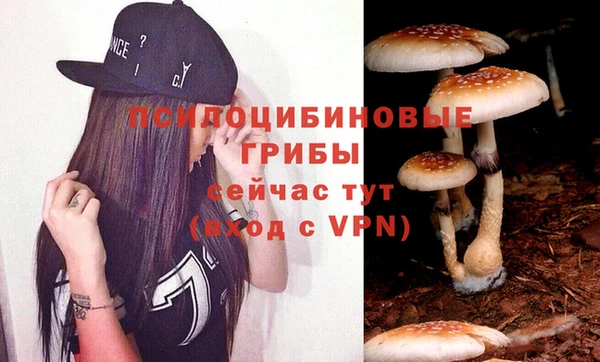 ПСИЛОЦИБИНОВЫЕ ГРИБЫ Белокуриха