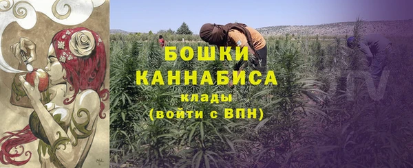 дурь Белоозёрский