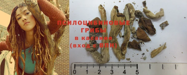 дурь Белоозёрский