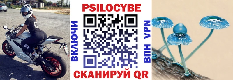 где купить наркотик  Кохма  Псилоцибиновые грибы MAGIC MUSHROOMS 