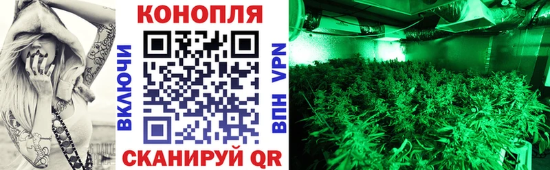 Каннабис White Widow  Кохма 